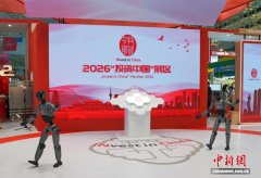 恒远科技董事、总司理杨磊引见 